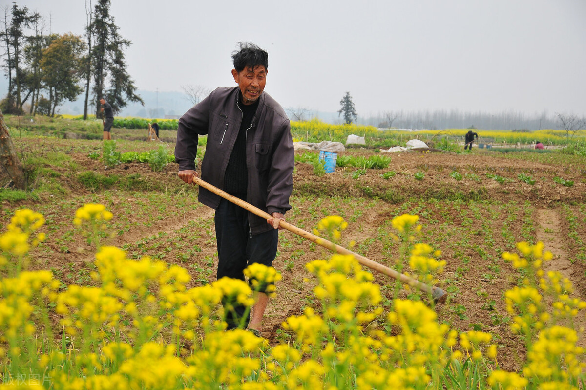 贫困户不想贷款怎么办怎么说明,贫困户因懒不愿脱贫