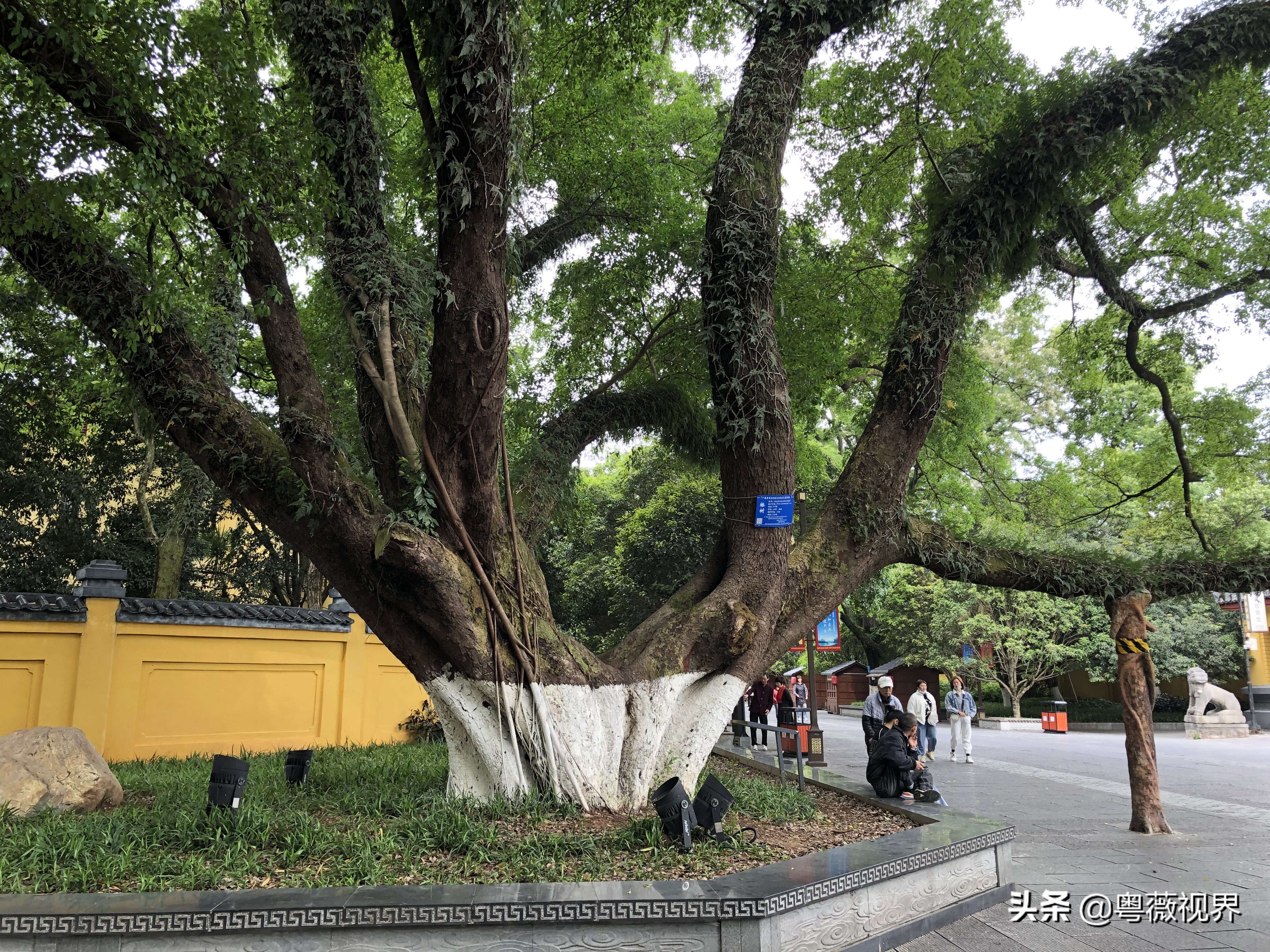 桂林山水甲天下旅行攻略,桂林山水甲天下旅游攻略大全