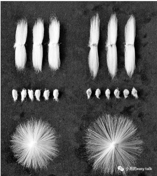 棉面料图,三棉的羽绒服面料是啥意思