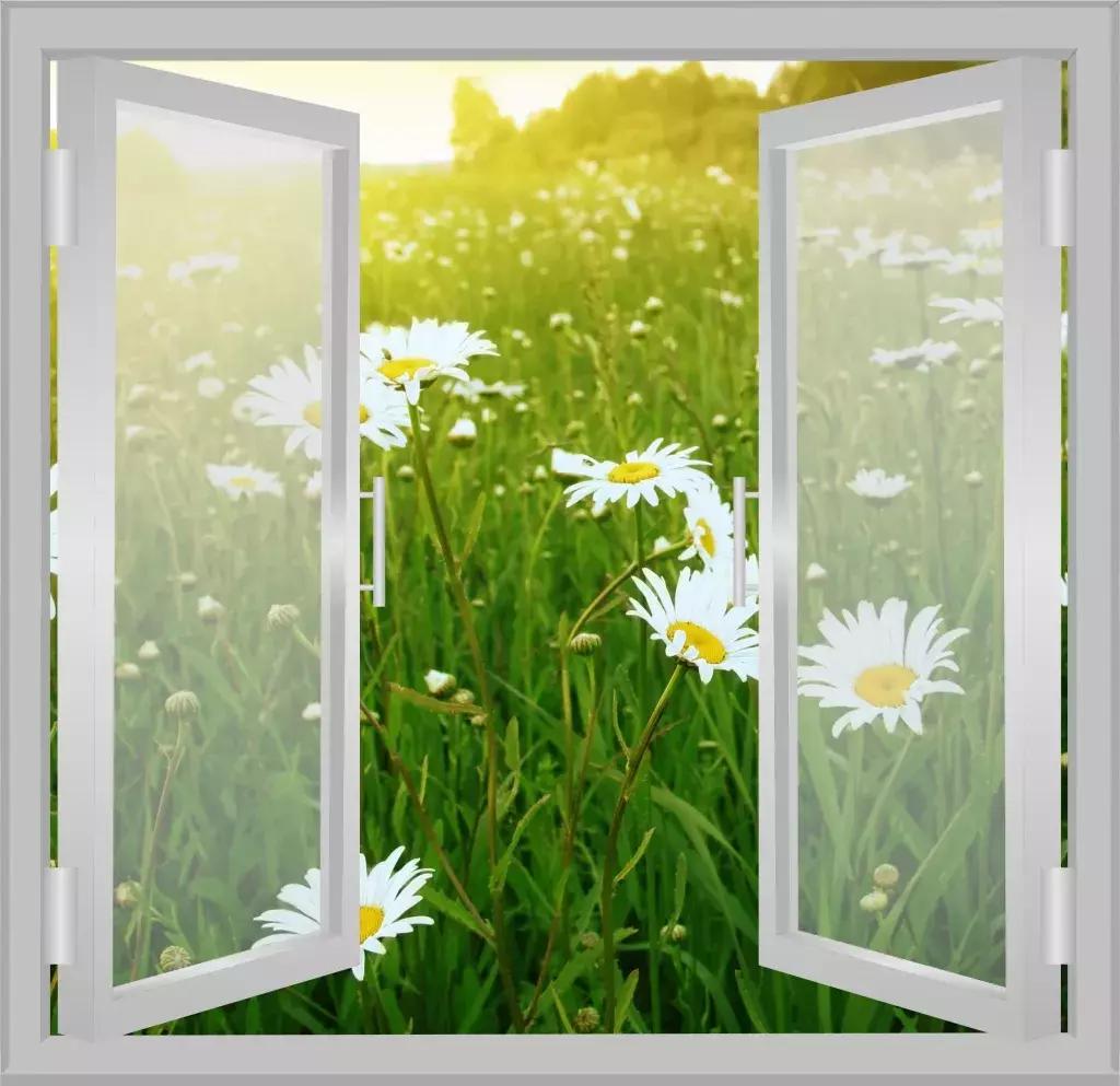 100个人生哲理短片,30个经典人生哲理