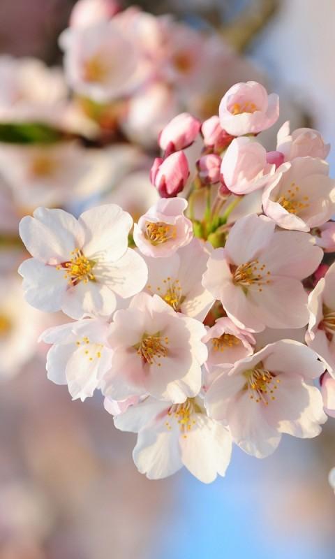 经典正能量语录精辟阳光的短句子,语录正能量阳光简短语句30条