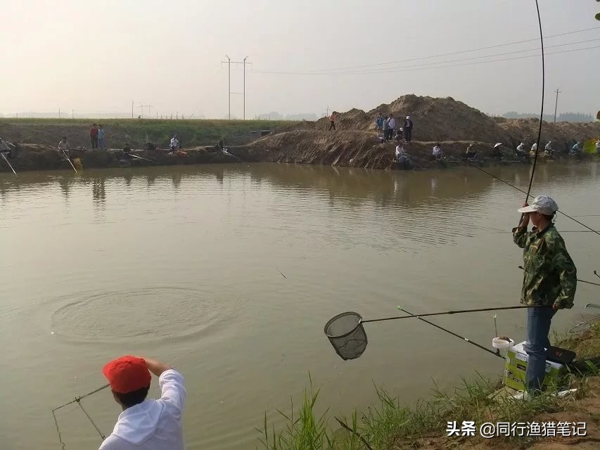 草鱼怎么钓才能钓得又大又好,钓草鱼的几种钓法多年实用总结