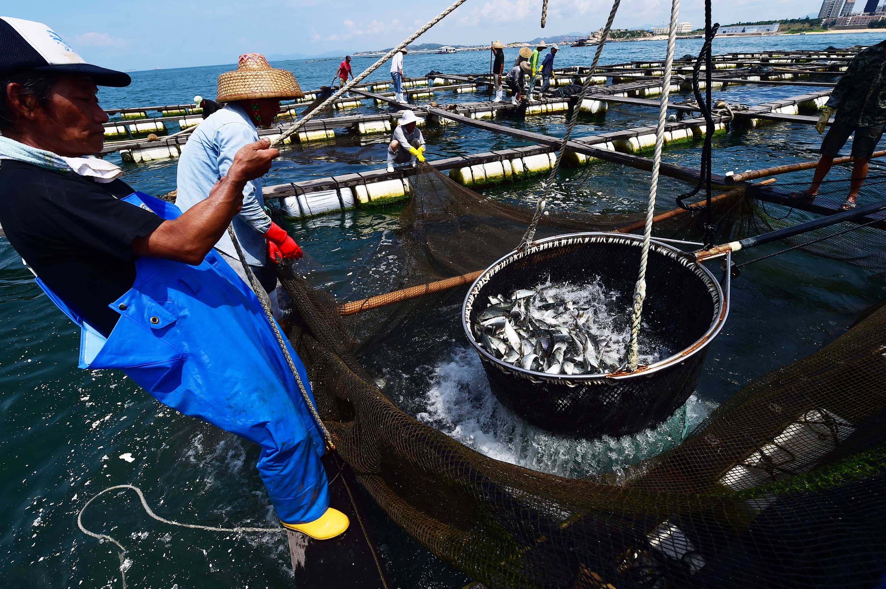 你已被移出群聊还能看见群人数吗,你已被移出群怎么还在群里
