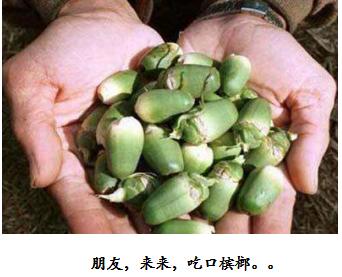 关于海南槟榔的那些二三事“槟榔哥”和“槟榔妹”们有同感吗?