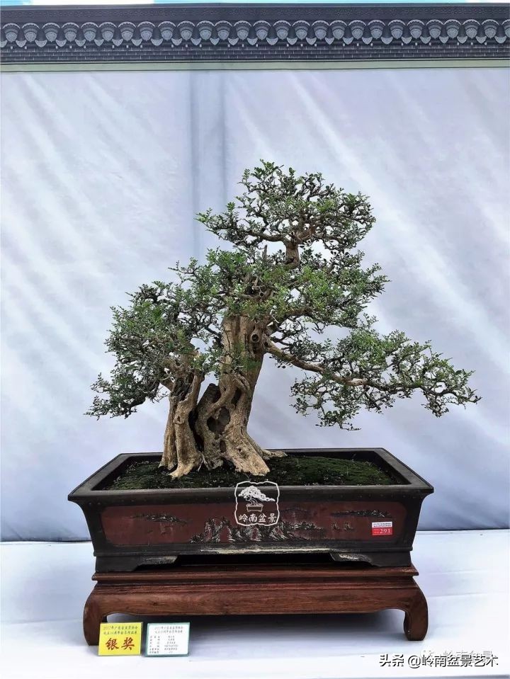 骞哥涔呬箙鐢滅敎铚滆湝,骞哥涔呬箙