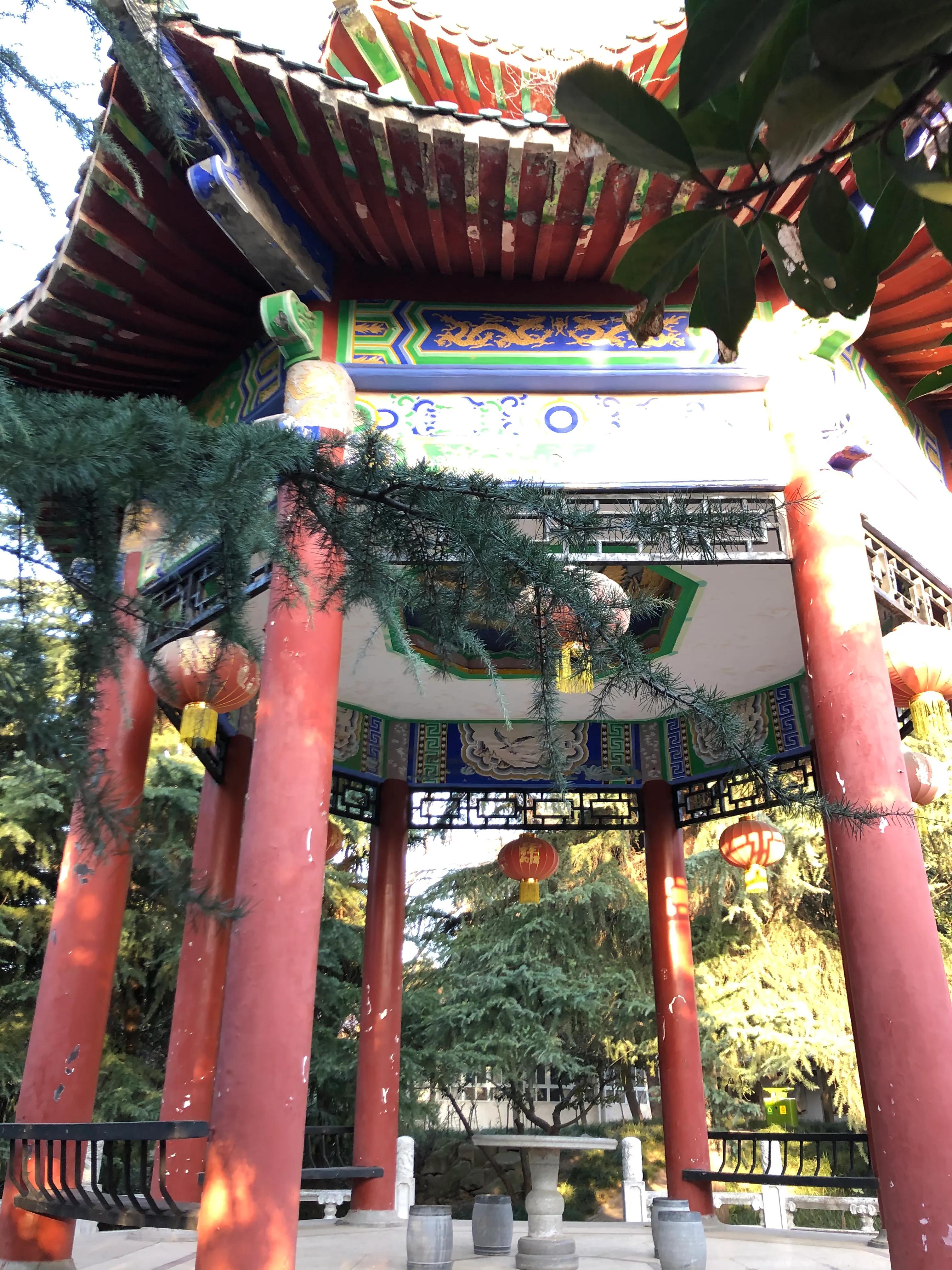 平顶山河滨公园旅游攻略,平顶山森林公园游记