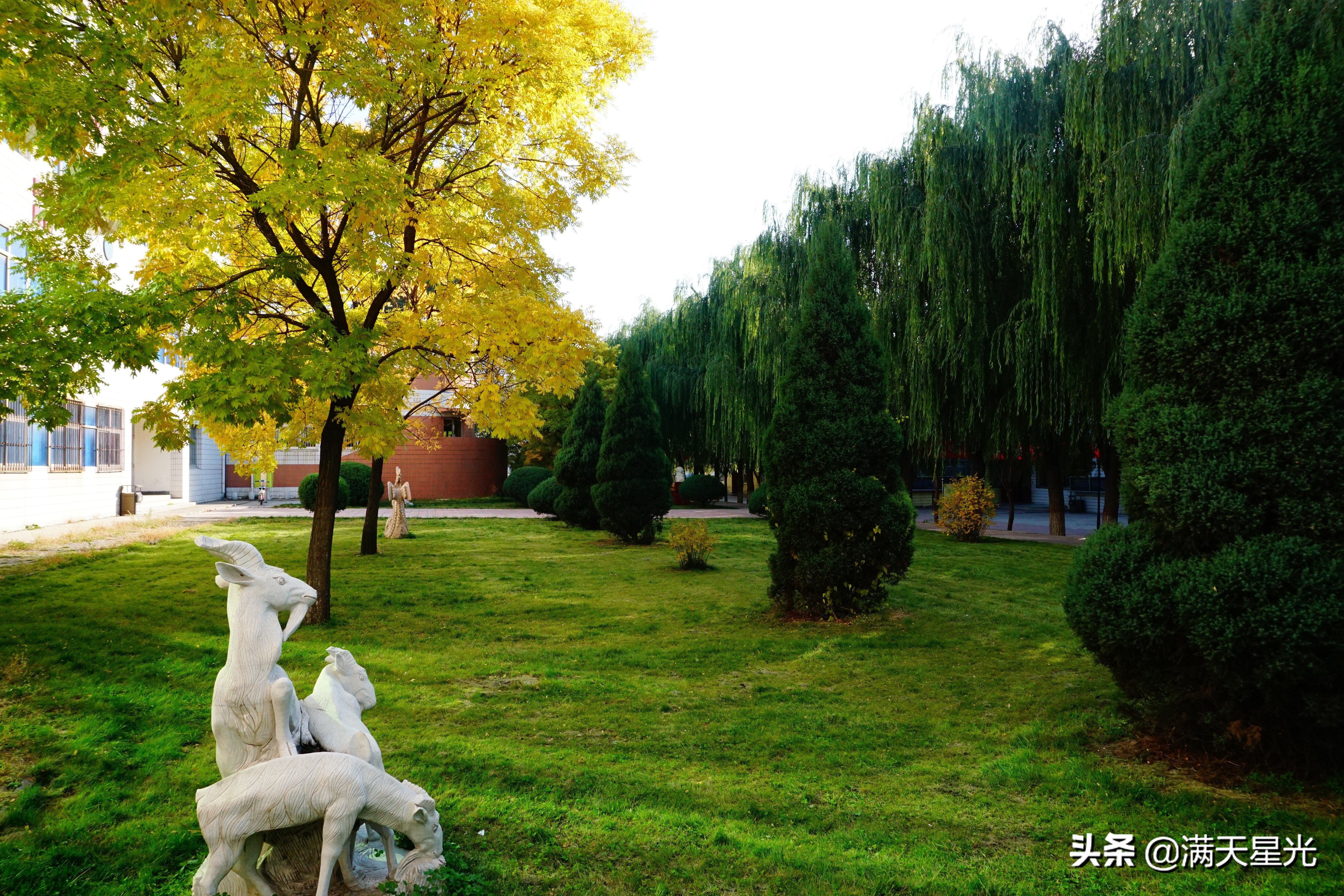 立心铸魂兴伟业,立心铸魂传承薪火