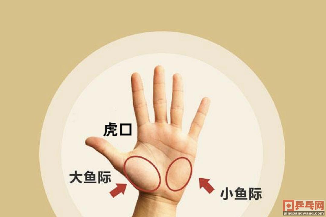 乒乓球拍的红黑两面有什么区别,种类繁多的乒乓球拍要怎么选