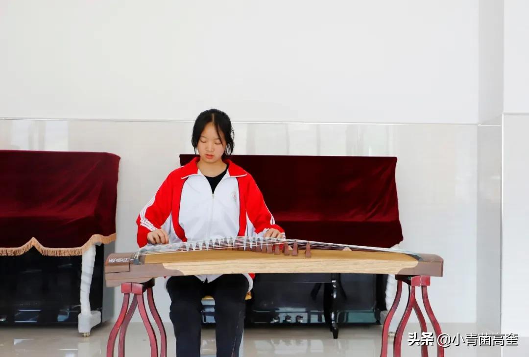 云南曲靖会泽县茚旺高中致远中学高一新生及补习班招生简章来啦