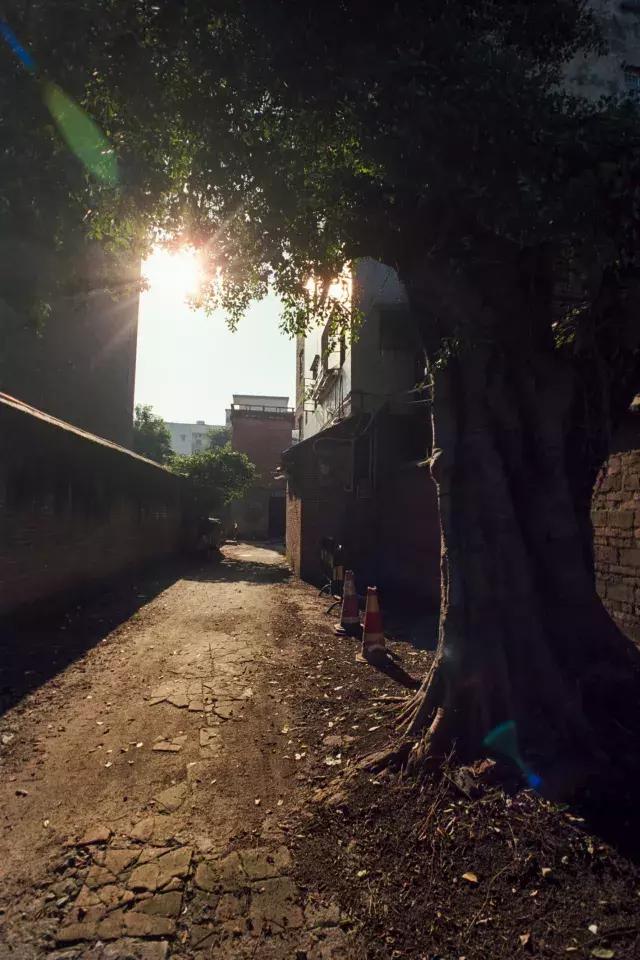 电影胶卷好吗,电影胶卷推荐