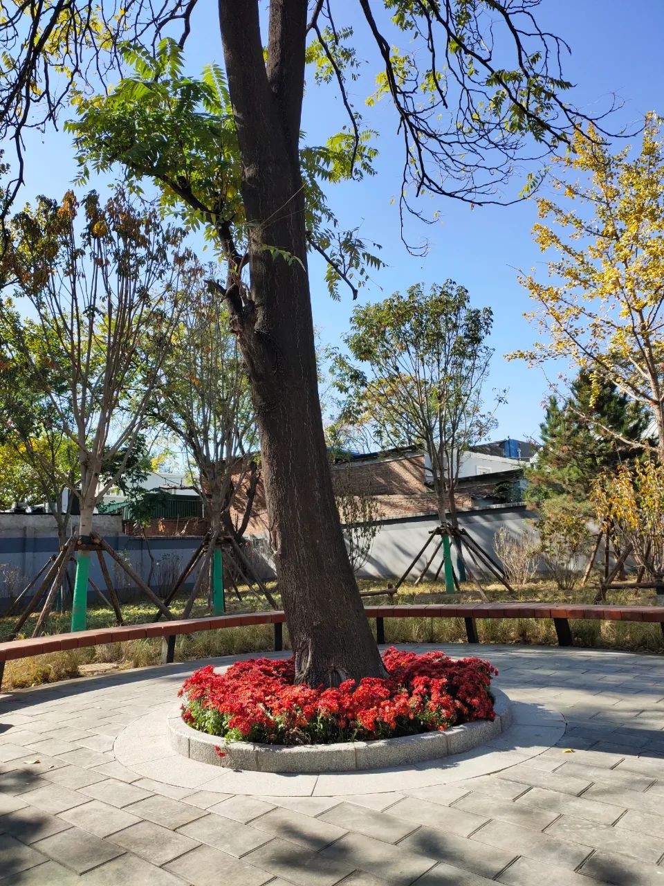 天坛公园周边,天坛旁边的公园