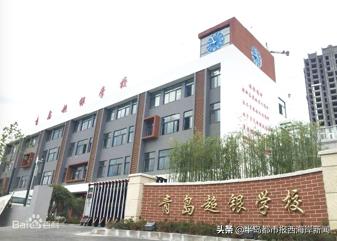 西海岸新区民办小学,西海岸新区公办学校学费