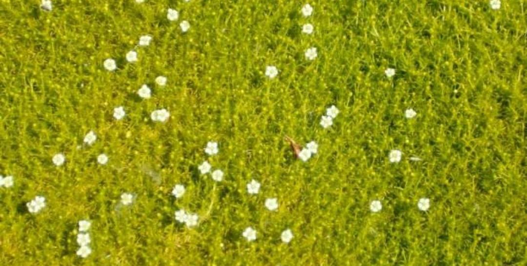 懂得的不需要太多解释,什么事都不需要解释