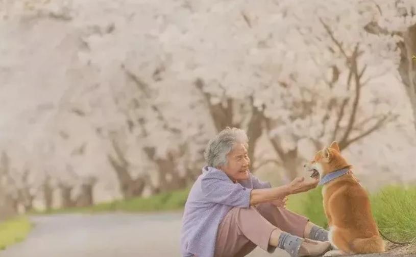 一首歌唱哭无数人原唱,一首歌唱尽多少人的心酸泪