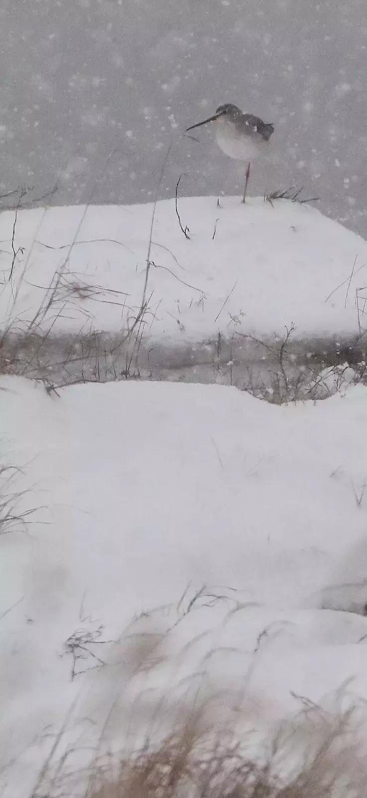 杭州西湖隐于山林之间的酒店,西湖云端酒店