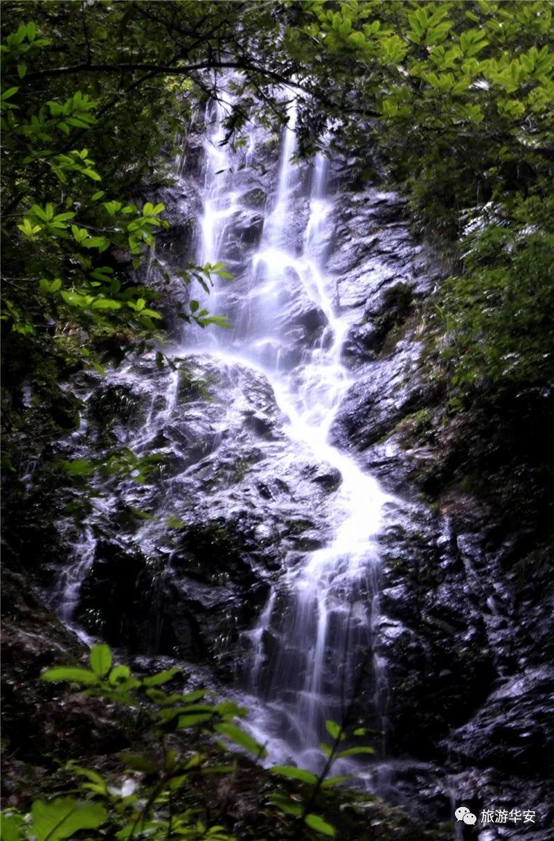 春风十里不如你,我在华安等着您