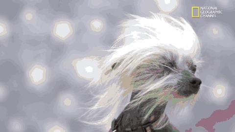 加湿器用了得肺炎,使用加湿器会导致加湿器肺炎吗