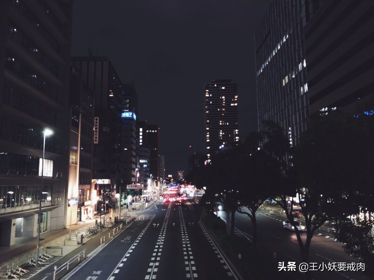 日本攻略自由行大阪,日本自由行攻略东京京都大阪