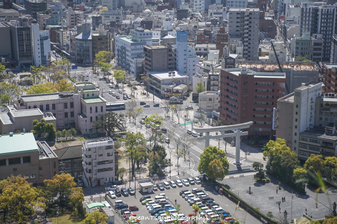 日本游轮游避坑,日本邮轮八天七夜具体行程