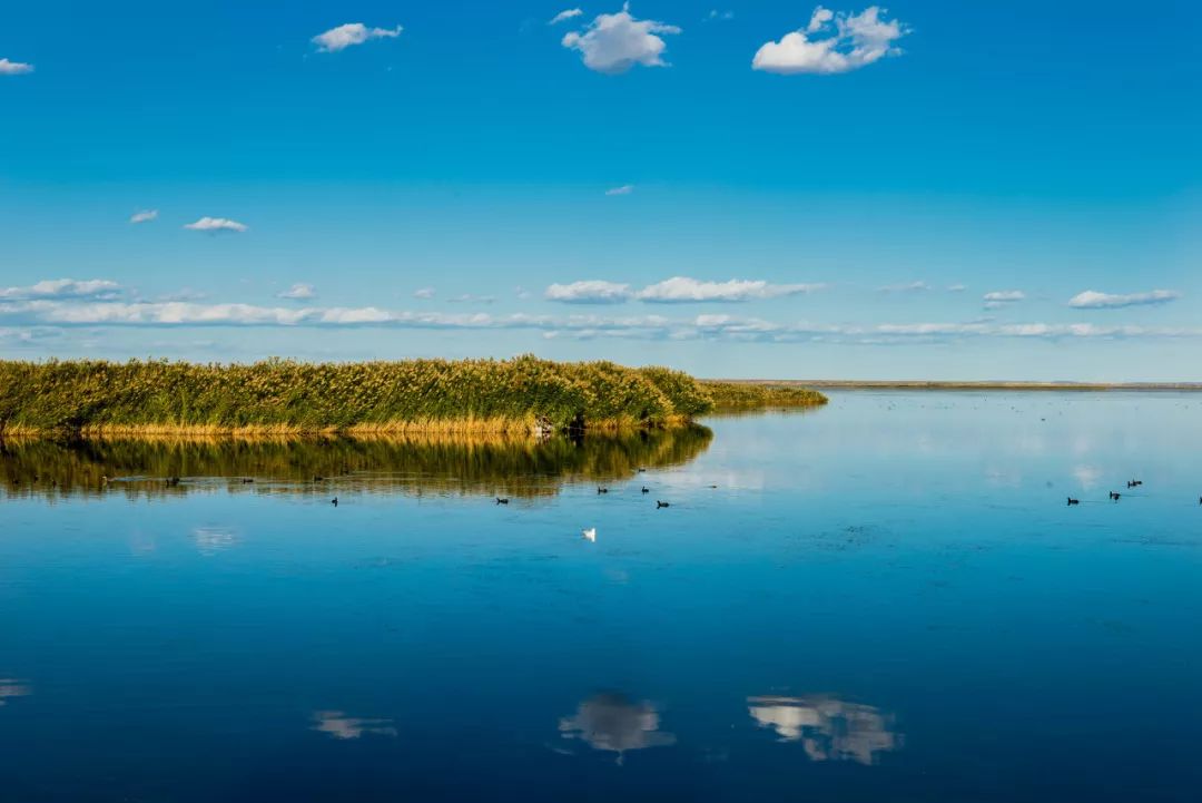 成都到额济纳胡杨林自驾旅游攻略,自驾胡杨林额济纳旗开什么车