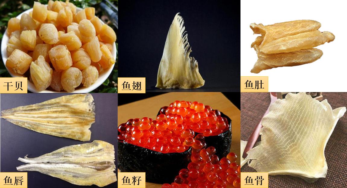 鲍鱼养殖怎么养得好吃,鲍鱼的养殖方法和注意事项