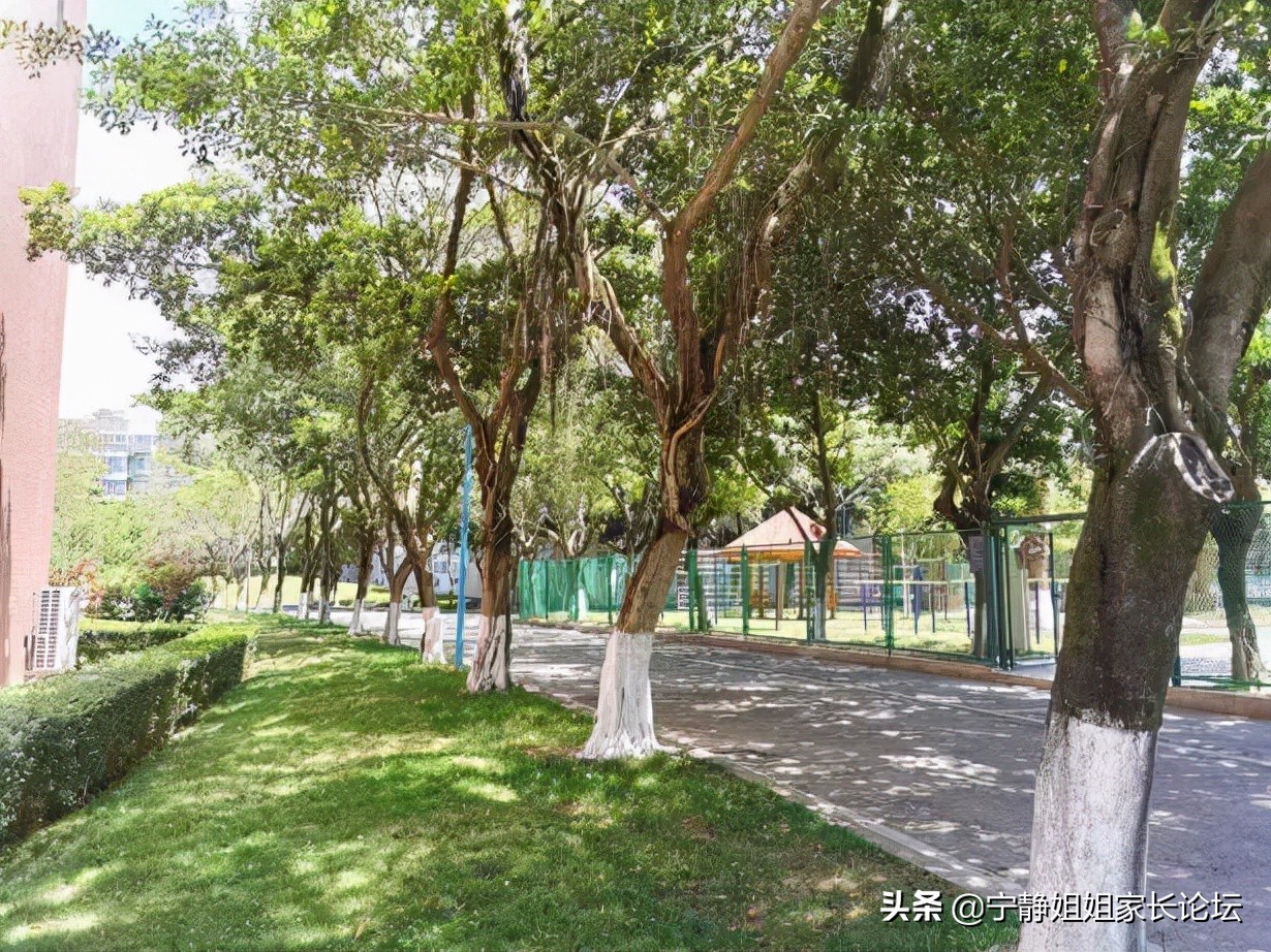 师上学府川派名校