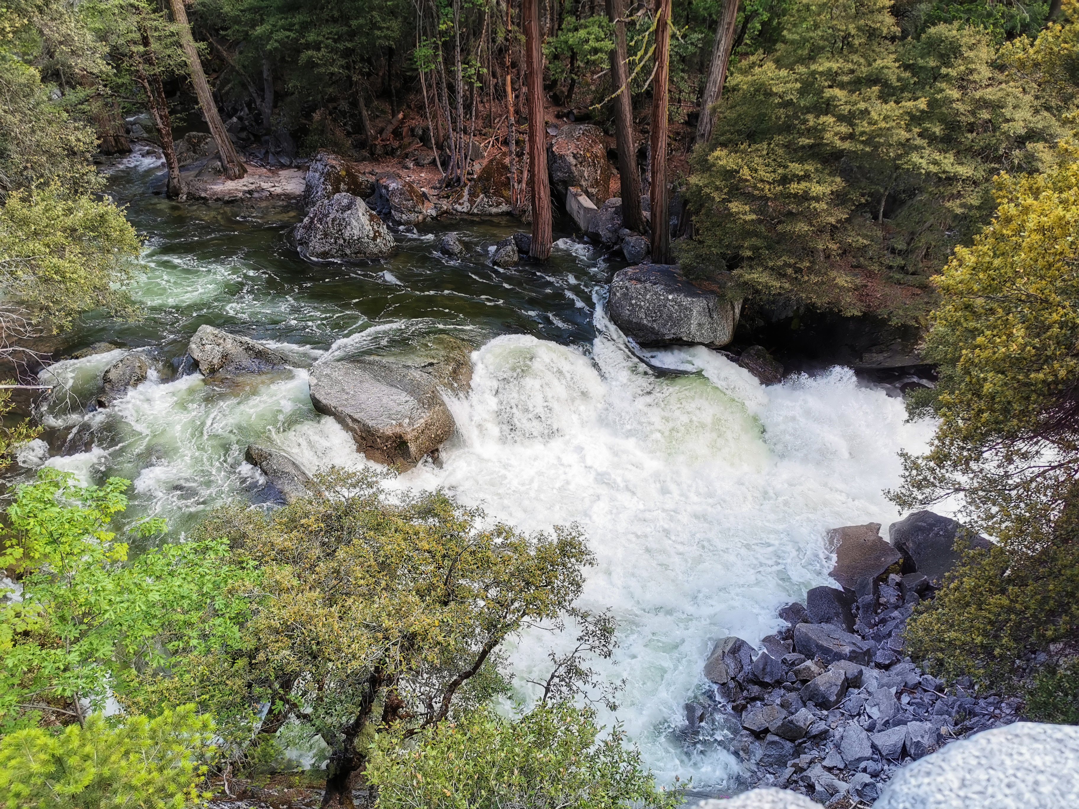 加利福尼亚优胜美地,美国旧金山优胜美地