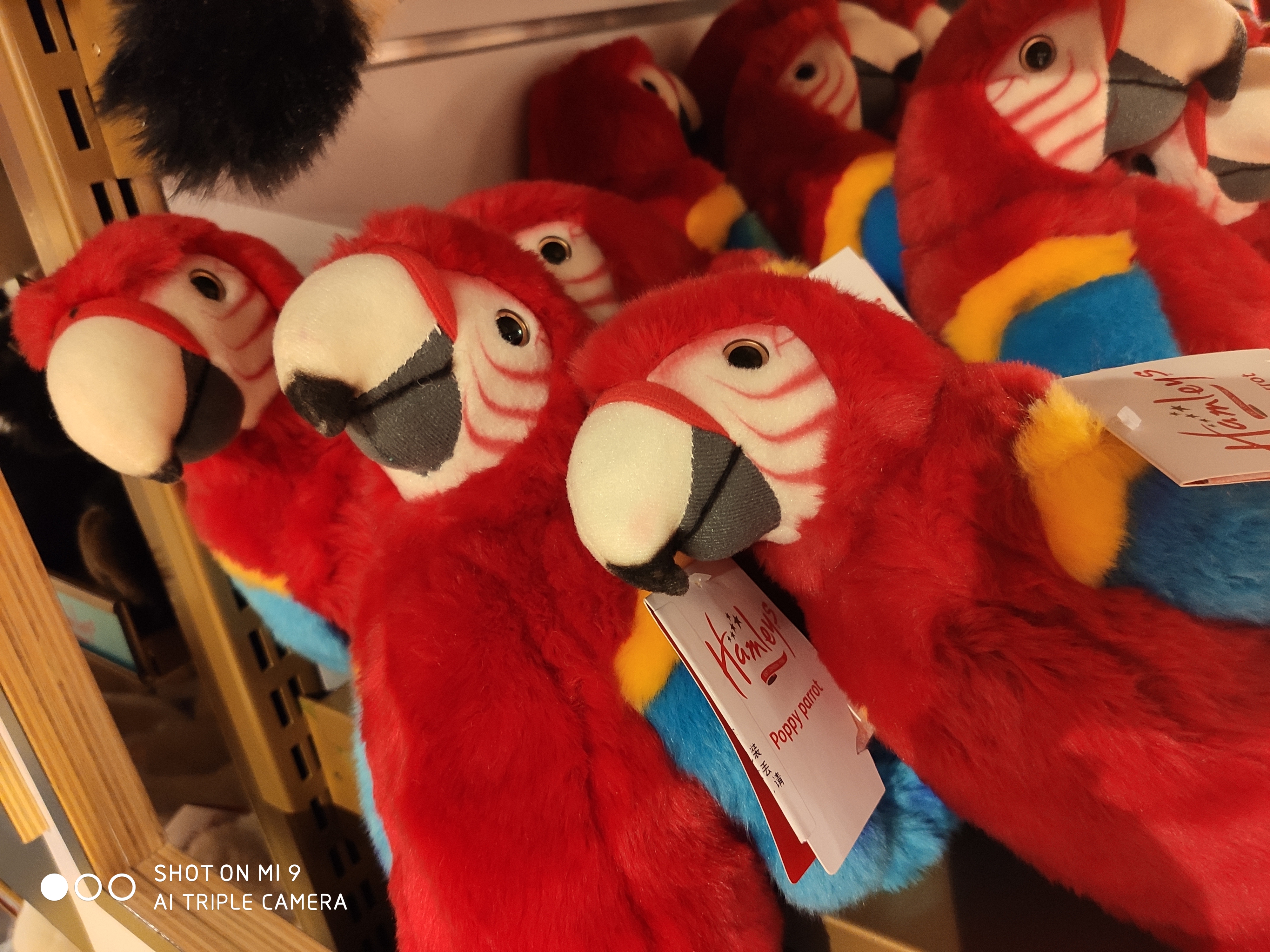 有哪些比较出名的玩具店,特别吸引小朋友的玩具