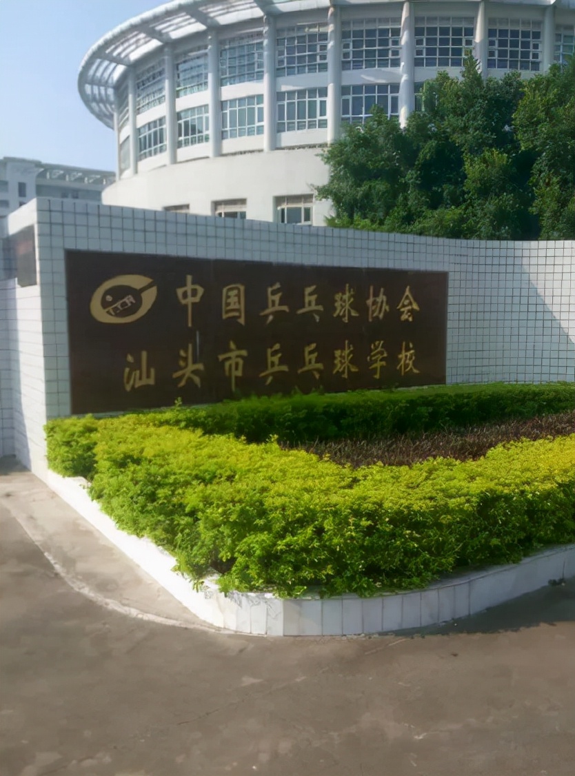 马琳离婚案判决结果,马琳离婚后现在结婚了吗