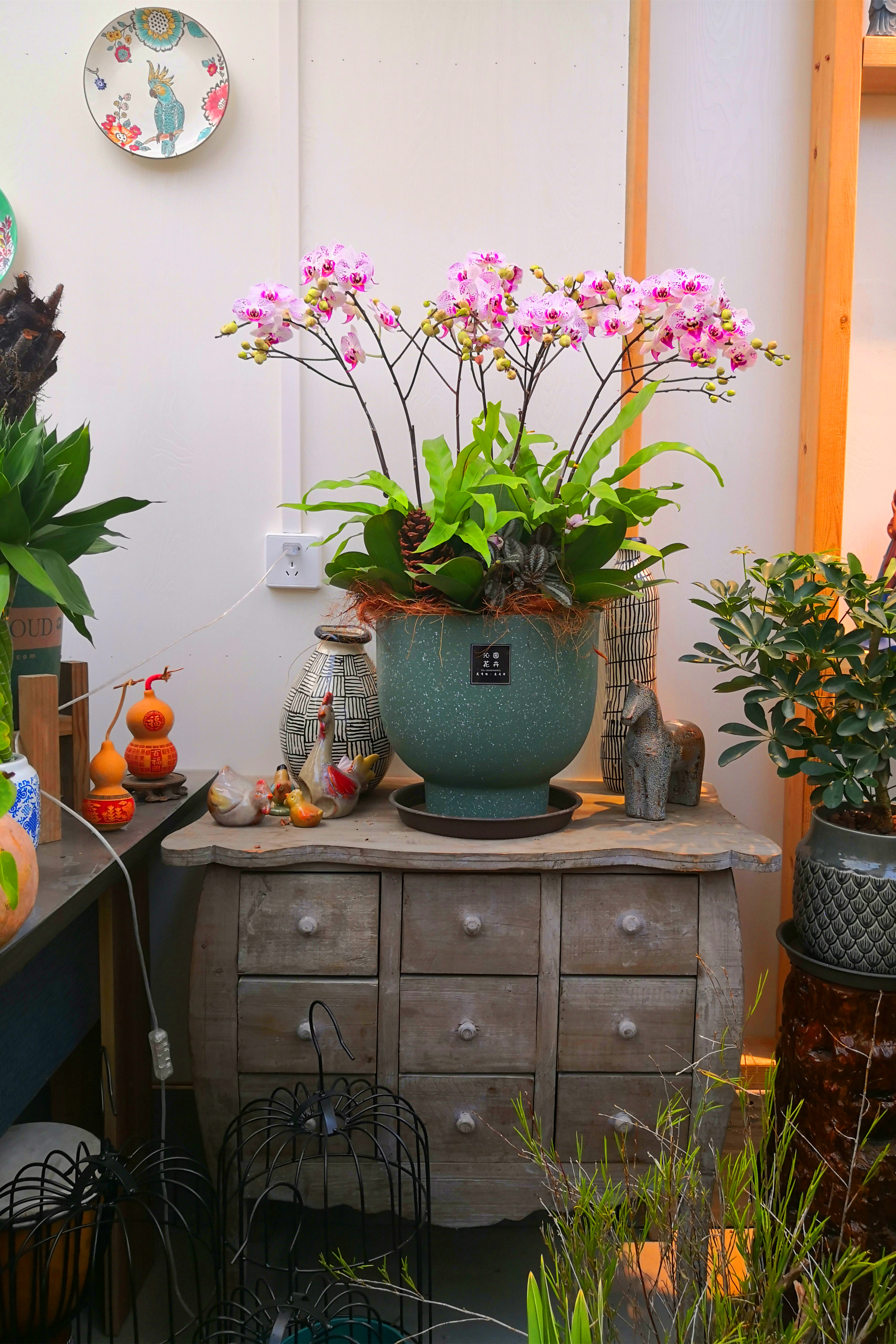 东营最大的花卉批发市场在哪里,东营地区哪里有花卉市场