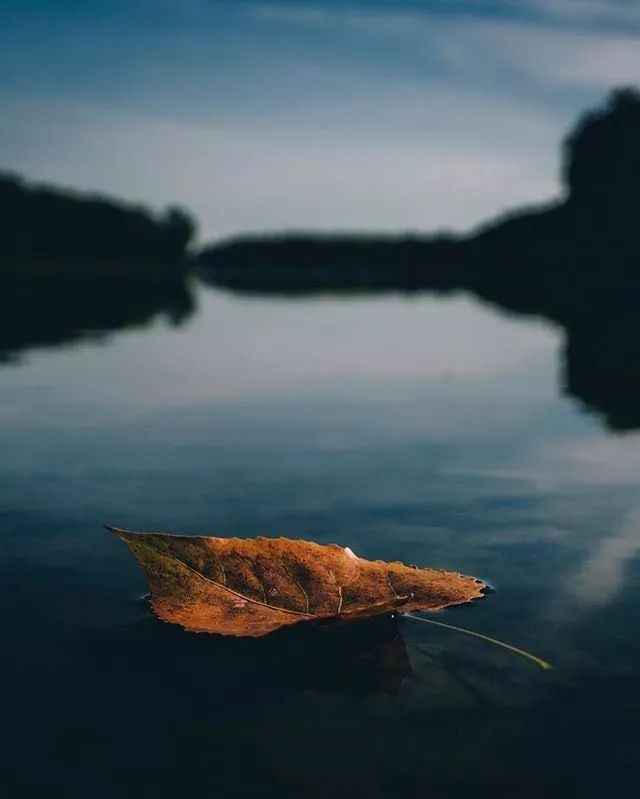 广东的秋天摄影,如何拍秋天风景照片
