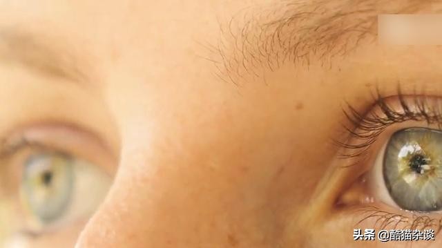 从错觉现象看到眼见不一定为实,眼见未必为实错觉