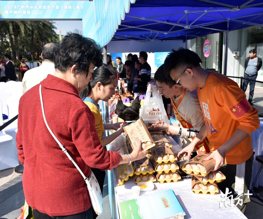 广州从化名优农产品,广州从化好吃的荔枝