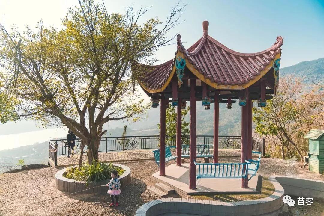 微时光田东,微时光美好生活