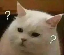 2019年奇葩的沙雕新闻都有哪些,2018年外国奇葩沙雕新闻