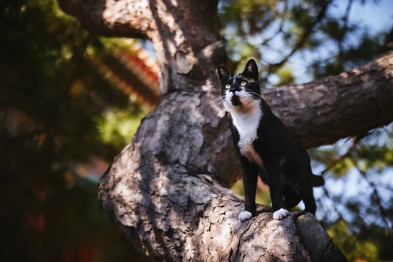 连用90天，拍摄近千G。EOSR5发布三个月后的使用报告