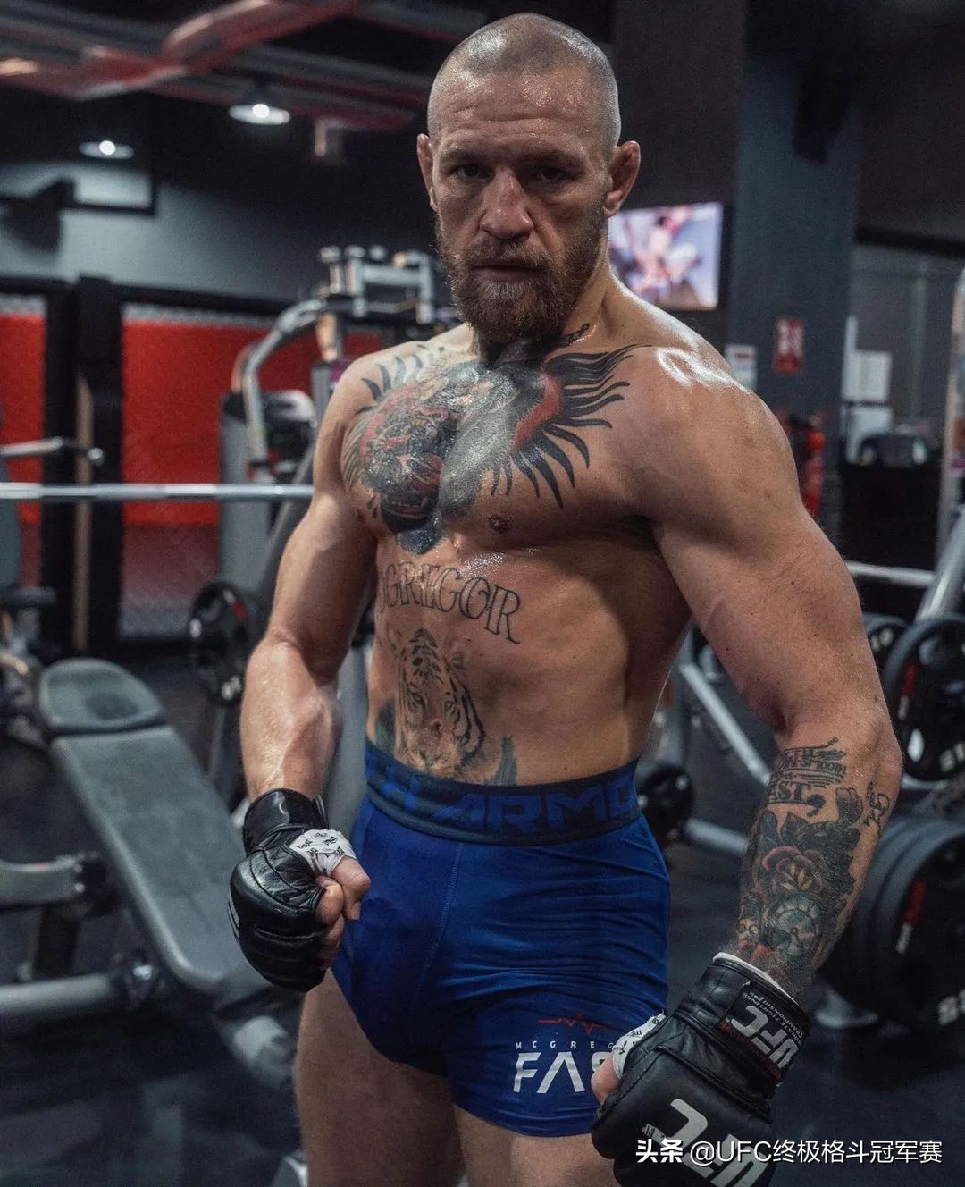 八角笼中最终决战,八角笼十大悬念视频