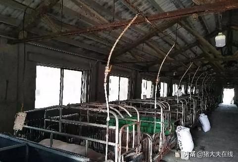 母猪产床优点和缺点,母猪产床有什么优势