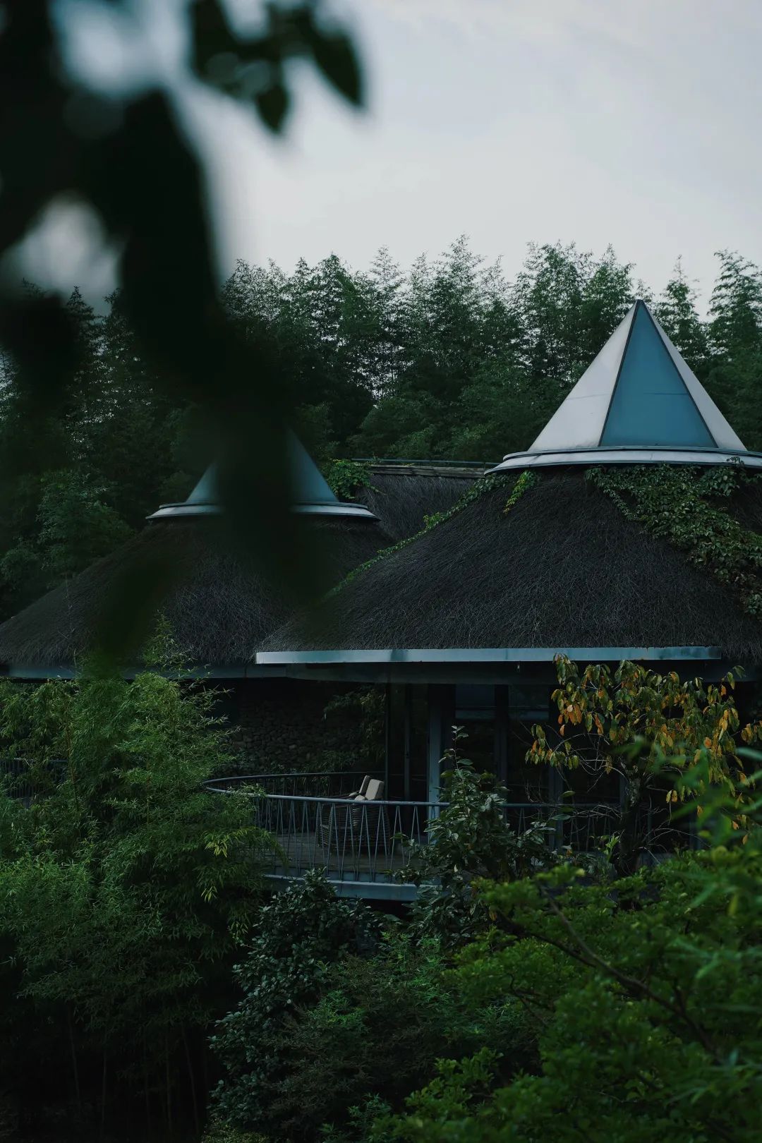 巴厘岛绿野仙踪,巴厘岛住进星空顶梦幻蘑菇屋