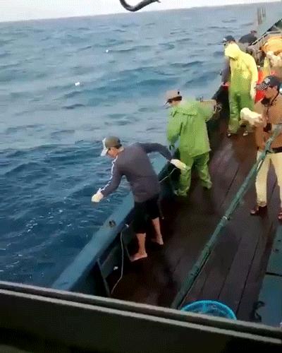 南澳岛渔民捕捞视频,南澳岛渔船捕捞