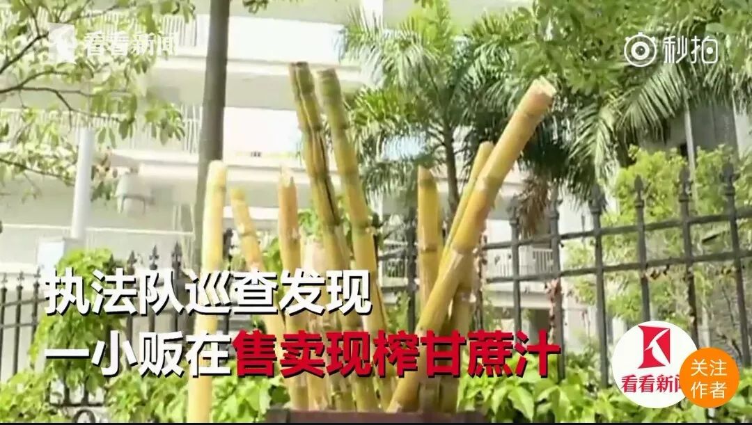 一根甘蔗榨五瓶蔗汁？！知道真相的我果断选择了……