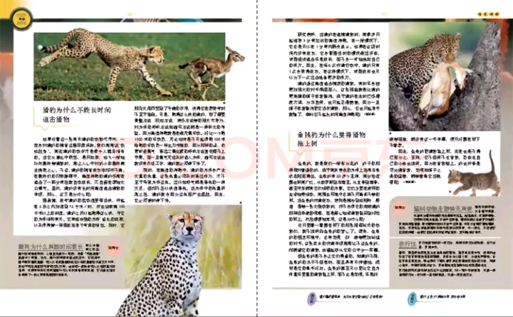 如何给孩子选十万个为什么,如何巧妙回答孩子的十万个为什么