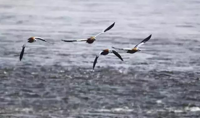 孟津值得去的景点,孟津有啥好的旅游景点