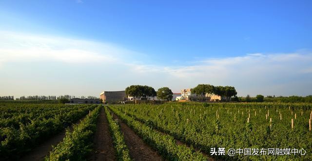 怡园酒庄葡萄酒旗舰店,怡园酒庄红酒排名