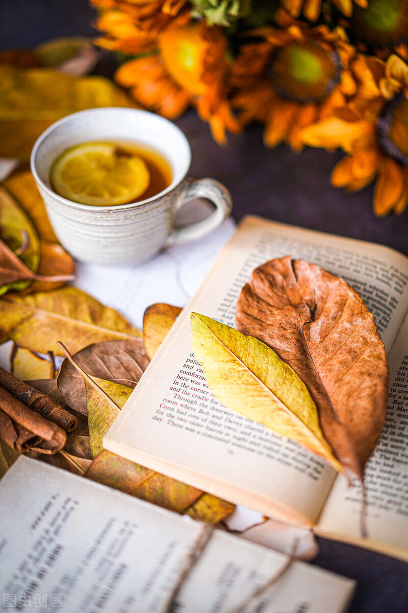 茶宜淡不宜浓,茶宜慢饮让茶香在时光里飘逸
