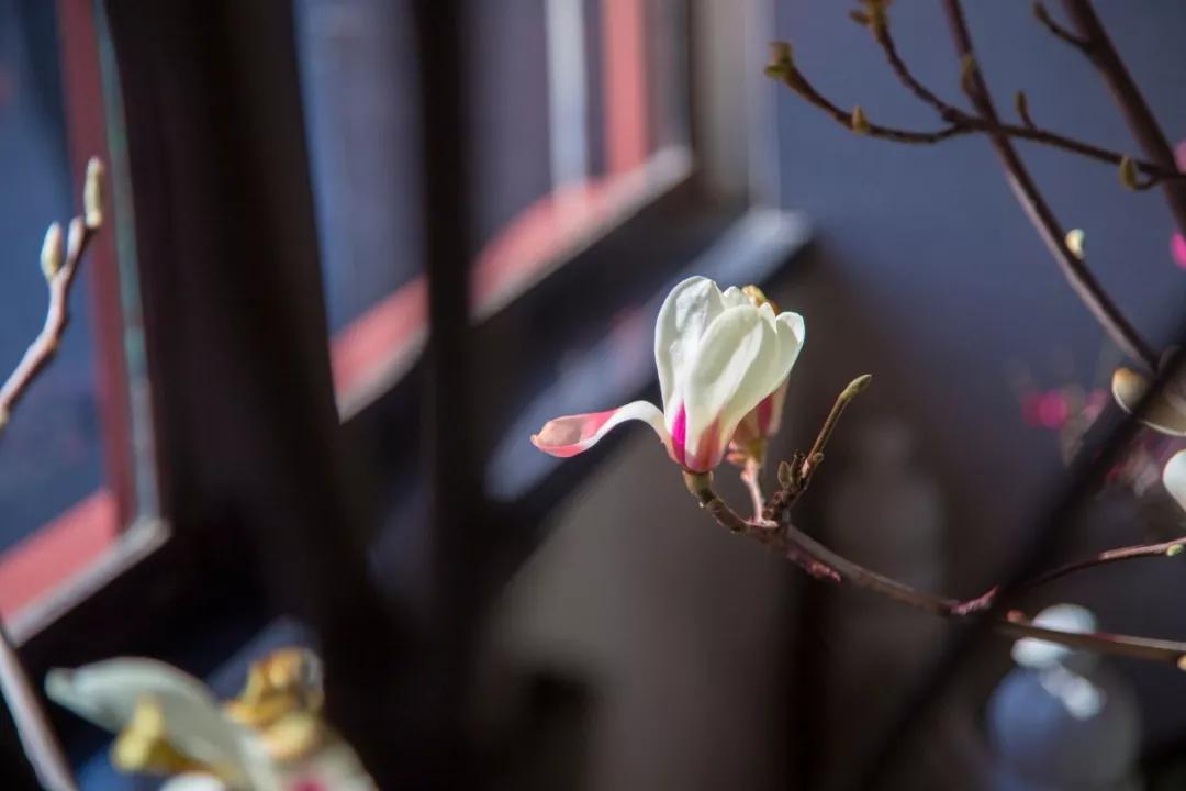 世态炎凉8首诗,看透了人情冷暖世态炎凉的诗句