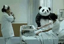 摄影点评(熊猫上班)