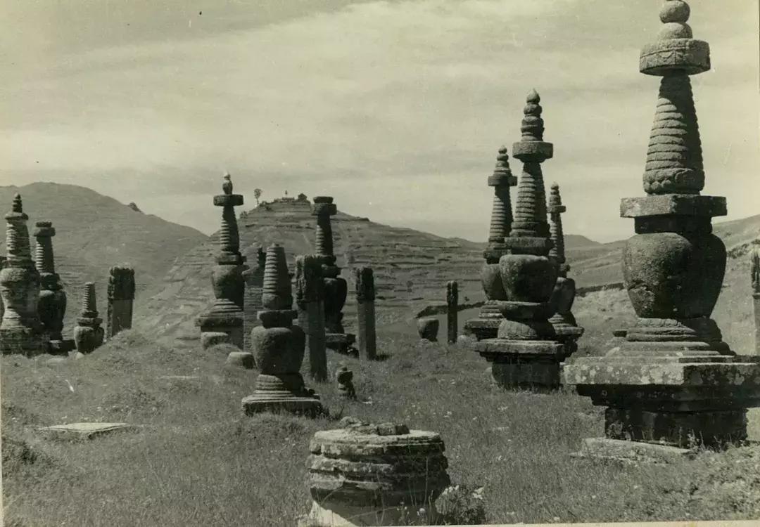 你可能没见过的姓氏,你可能没见过的日语