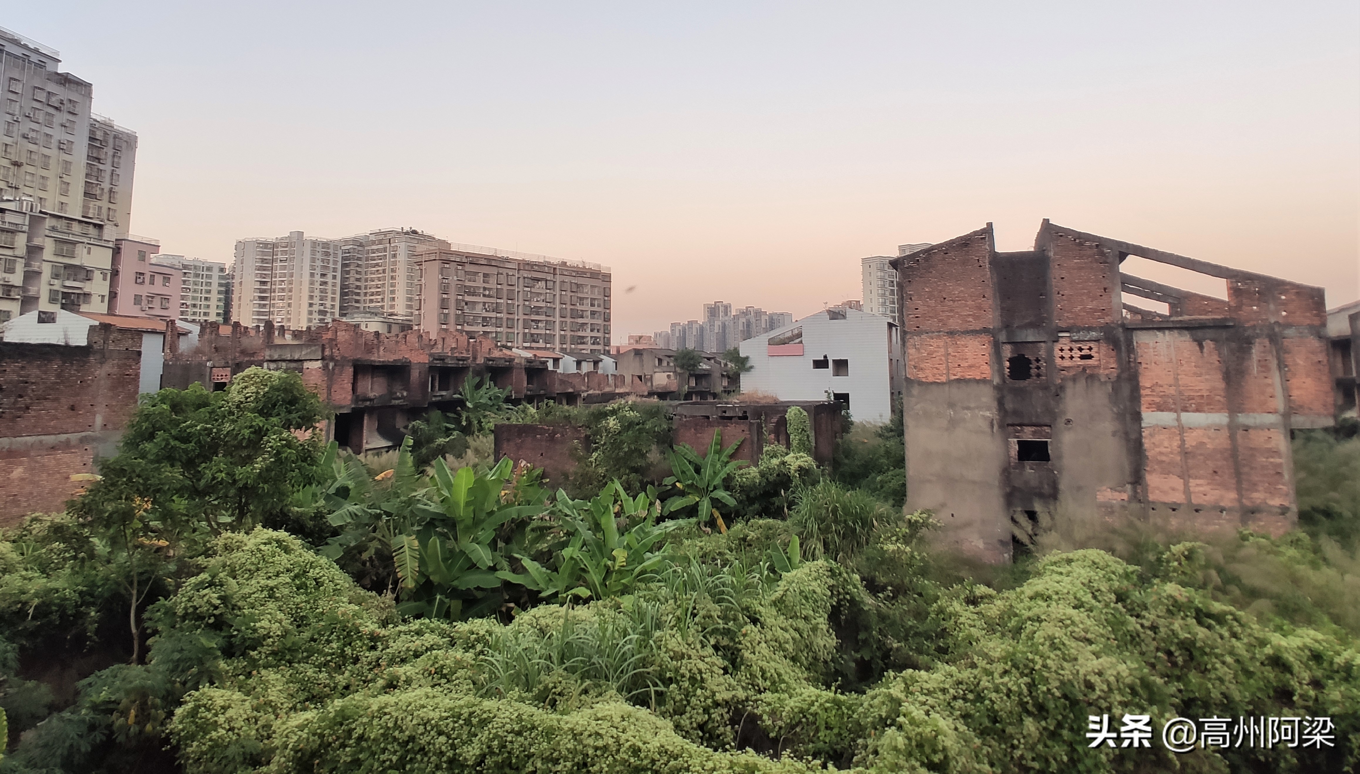 深圳半山腰富人区别墅,深圳闹市区烂尾别墅5万一楼