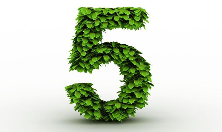 泰国999是什么,最神奇的泰国数字